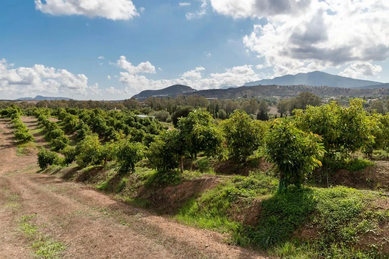 Exclusive Countryside Villas La Cuadra Coin Spain